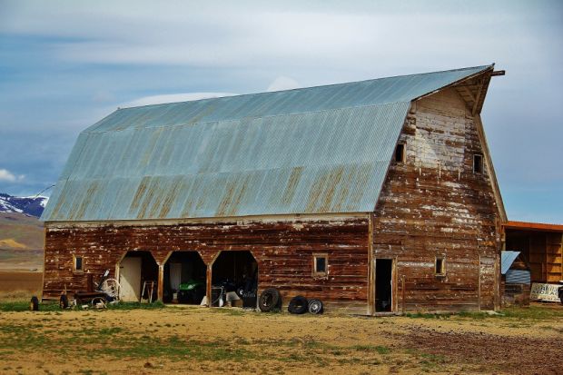 Barn